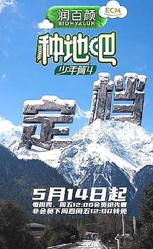 粉色水蜜桃选购指南与完整鲜桃观察